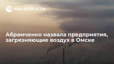 Вице-премьер Абрамченко назвала промышленные объекты, загрязняющие воздух в Омске
