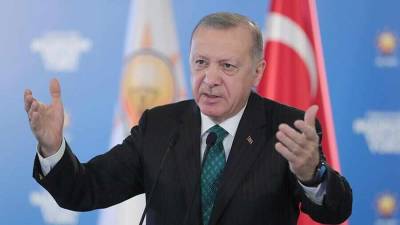 Турция не намерена спрашивать у кого-либо, с кем, где и когда вести переговоры — Эрдоган