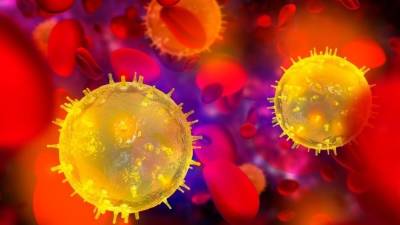 Разведка США установила, создавался ли коронавирус как биологическое оружие