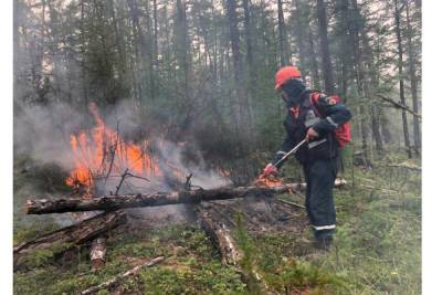 В Якутии за сутки ликвидировали 10 природных пожаров