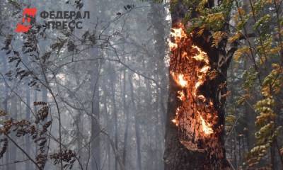 Формируя смыслы: проверки тюменского СК и лесные пожары на Среднем Урале