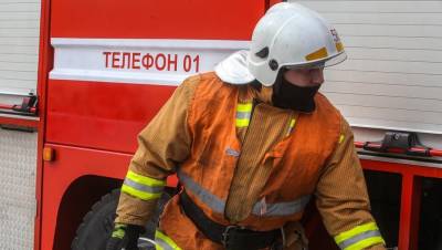 Петербуржец спас сына и дочь во время ночного пожара на Дальневосточном