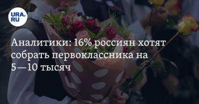 Аналитики: 16% россиян хотят собрать первоклассника на 5—10 тысяч