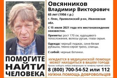 В Ивановской области больше десяти дней ищут 65-летнего мужчину
