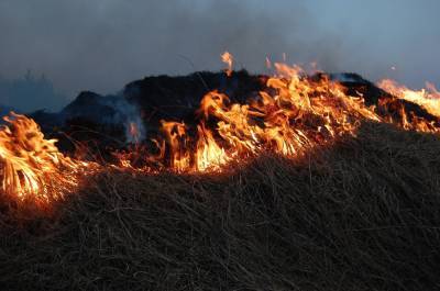 В Башкирии за сутки возникло еще 6 очагов лесных пожаров