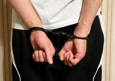 В Рязани поймали 27-летнего грабителя из Пронского района