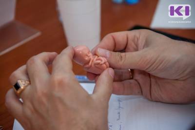 В Коми разработали комплексную программу по снижению количества и профилактики абортов