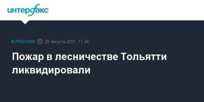 Пожар в лесничестве Тольятти ликвидировали