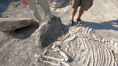 Редкие артефакты обнаружили археологи в Крыму