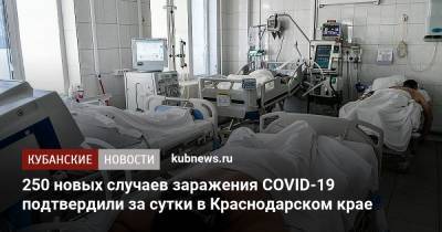 250 новых случаев заражения COVID-19 подтвердили за сутки в Краснодарском крае