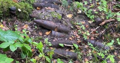 Очевидцы: в Багратионовском районе в лесу нашли десятки снарядов