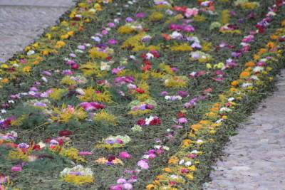 Километровую дорогу выстлали цветами в Псково-Печерском монастыре