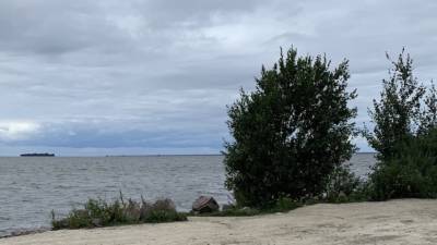 Трупы мужа и жены нашли в машине на берегу Финского залива