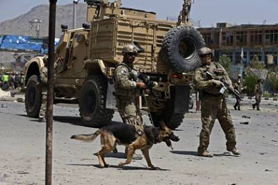 Британец раскрыл подробности эвакуации животных из Афганистана