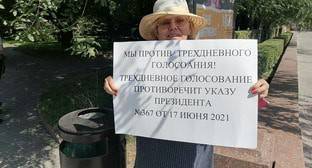 Пикетчики в Волгограде выступили против трехдневного голосования