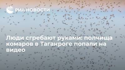 Жители Ростовской области показали нашествия комаров на видео