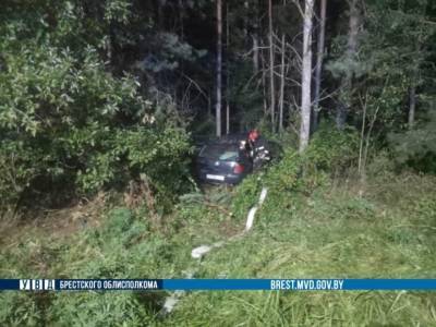 В Барановичском районе автомобиль столкнулся с лошадью — водитель погиб