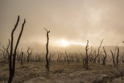 Глобальное потепление: к 2100 году Украина может превратиться в пустыню