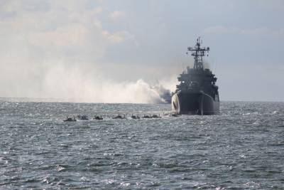 Политолог Родионов назвал подхрюкиванием слова Зеленского о флоте НАТО в Черном море