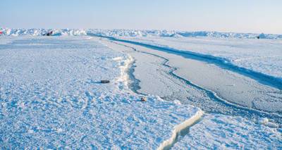 Ее величество случайность - ученые обнаружили самый северный остров планеты