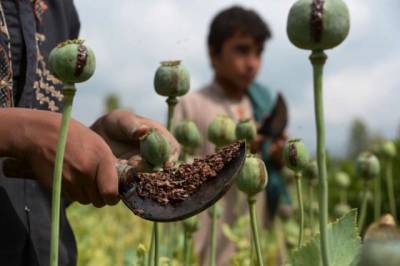Единственным победителем в войне Америки в Афганистане является опиум