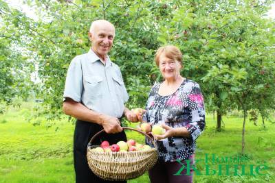 Секретами ухода за яблоневым садом, лучшими сортами и рецептами домашних заготовок делятся жители Новогрудского района