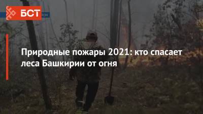 Природные пожары 2021: кто спасает леса Башкирии от огня