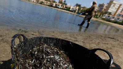 Траур по мёртвой рыбе в Испании