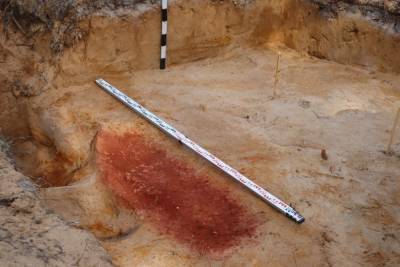Могилу янтарного человека обнаружили в Карелии во время археологической экспедиции