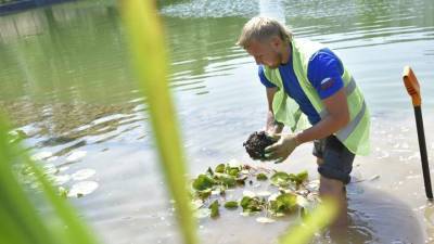 Более десяти водоемов привели в порядок в Подмосковье