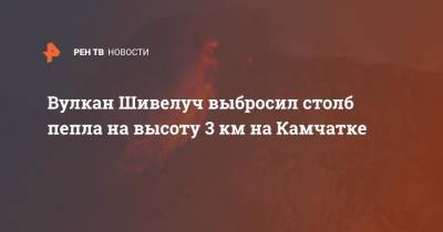 Вулкан Шивелуч выбросил столб пепла на высоту 3 км на Камчатке