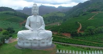 Гигантскую статую Будды установили в Бразилии