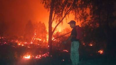 В Башкирии не локализовано два крупных очага лесных пожаров