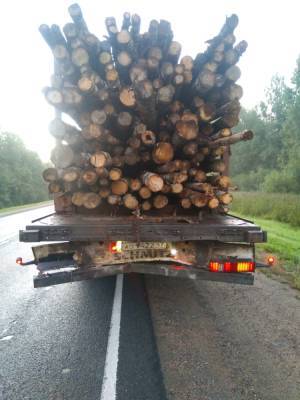 Двое пострадали в ДТП с лесовозом в Тверской области