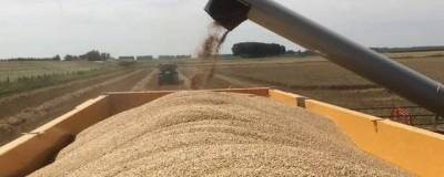 В России снизились объемы экспорта пшеницы