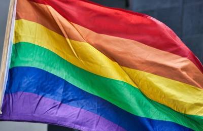 В США учительница предложила школьникам присягнуть на верность флагу ЛГБТ