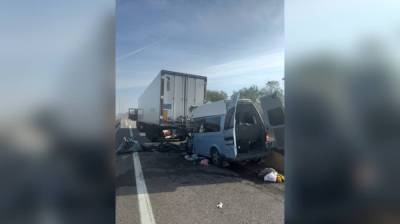 Пассажиры и водитель микроавтобуса пострадали после ДТП с грузовиком в Воронежской области