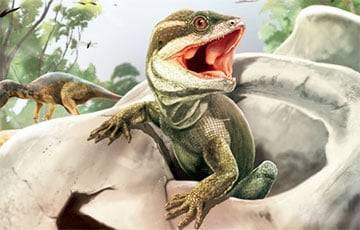 Ученые обнаружили в Аргентине предка всех рептилий