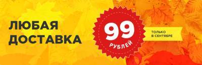 ТМ Электроникс — доставка за 99 рублей в любой уголок России