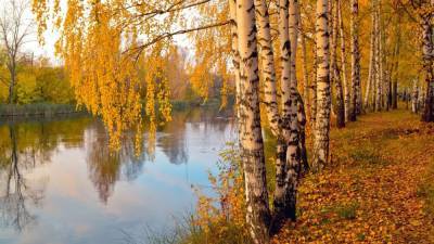 Бабье лето продлится на юге России до октября