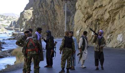 Талибы отключили интернет в неподконтрольной провинции Панджшер