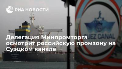 Делегация Минпромторга осмотрит территорию российской промышленной зоны на Суэцком канале