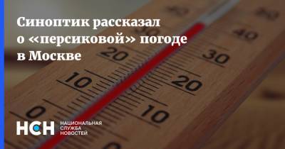 Синоптик рассказал о «персиковой» погоде в Москве