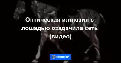 Оптическая иллюзия с лошадью озадачила сеть (видео)