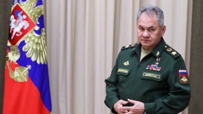 Шойгу рассказал о планах по обеспечению российской армии беспилотниками