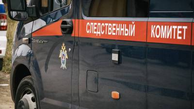 Бастрыкин поручил проверить информацию о сектантском поселке в Подмосковье