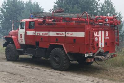 МЧС: все очаги природного пожара в Первомайске локализованы