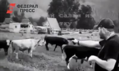 Жителя Новосибирска подозревают в расстреле коров в Республике Алтай