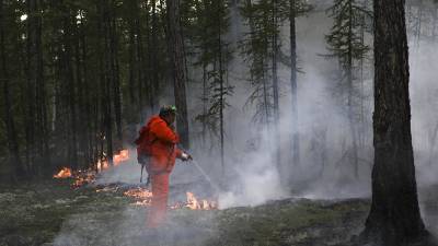 Площадь лесных пожаров в России за сутки сократилась на четверть