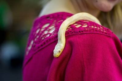 Девочку укусила змея в «Парке бабочек» в Екатеринбурге
